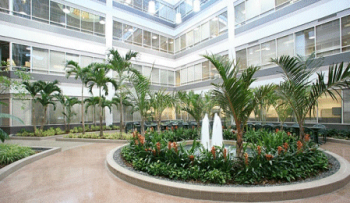 Reception to get you signed in for class